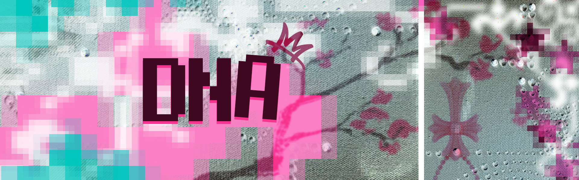 VVS DNA header
